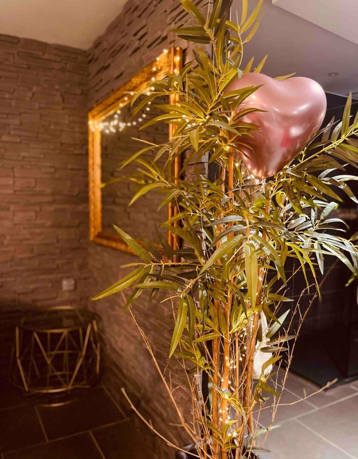 O Venus Spa Sin-le-Noble Ngoại thất bức ảnh